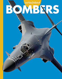Cover Art for Curious about Bombers