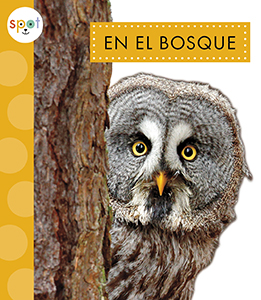 Cover Art for En el bosque