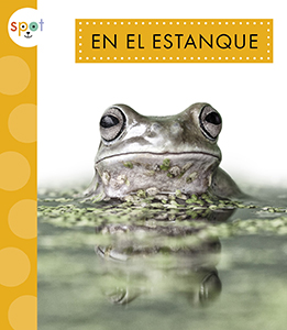 Cover Art for En el estanque