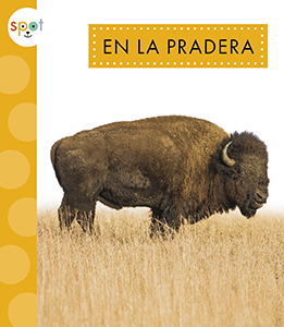 Cover Art for En la pradera