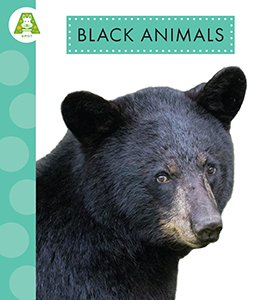 Cover Art for Black Animals