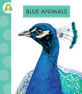 Cover Art for Blue Animals