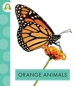 Cover Art for Orange Animals