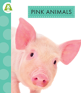 Cover Art for Pink Animals
