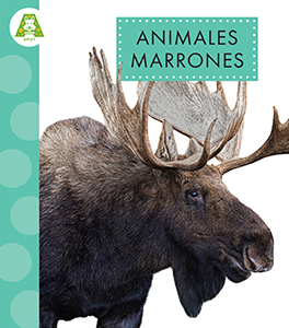 Cover Art for Animales marrones