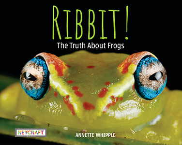 Cover Art for Ribbit! The Truth About Frogs