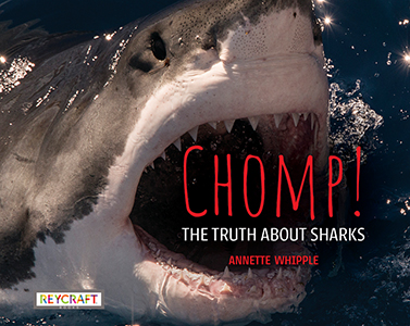 Cover Art for Chomp! The Truth About Sharks