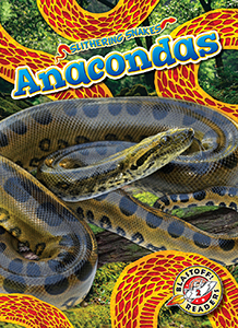 Cover Art for Anacondas