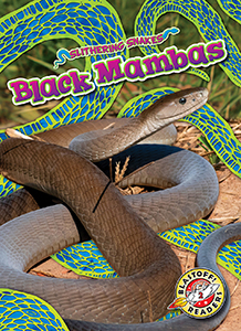 Cover Art for Black Mambas