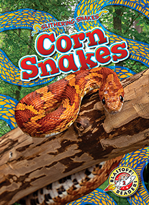 Cover Art for Corn Snakes