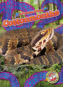 Cover Art for Cottonmouths