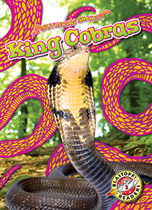 Cover Art for King Cobras