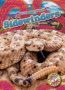 Cover Art for Sidewinders