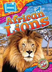 Cover Art for African Lions
