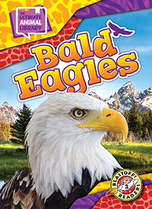 Cover Art for Bald Eagles