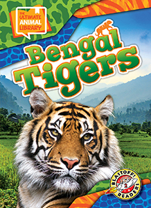Cover Art for Bengal Tigers