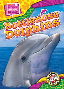 Cover Art for Bottlenose Dolphins