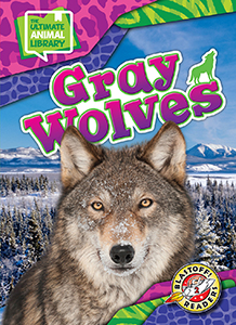 Cover Art for Gray Wolves