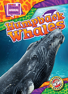 Cover Art for Humpback Whales
