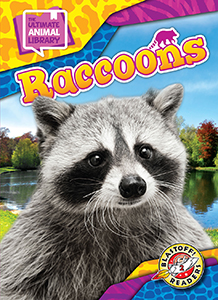 Cover Art for Raccoons