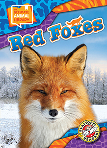 Cover Art for Red Foxes