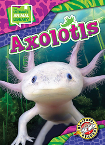 Cover Art for Axlotols