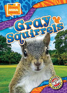 Cover Art for Gray Squirrels