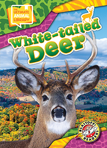 Cover Art for White-tailed Deer