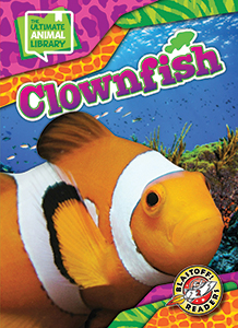 Cover Art for Clownfish