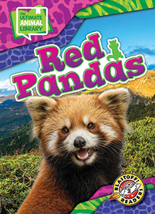 Cover Art for Red Pandas
