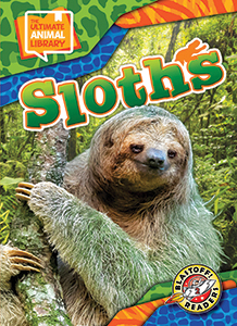 Cover Art for Sloths