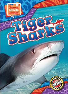 Cover Art for Tiger Sharks