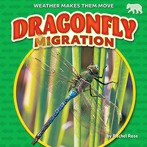 Cover Art for Dragonfly Migration