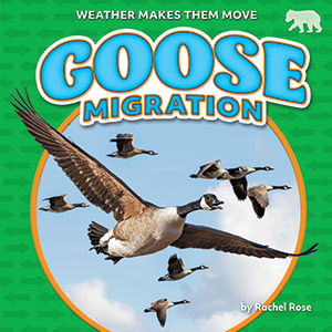 Cover Art for Goose Migration