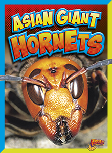 Cover Art for Asian Giant Hornets