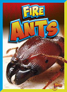 Cover Art for Fire Ants