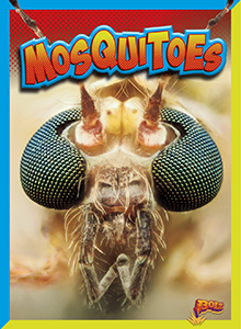 Cover Art for Mosquitoes