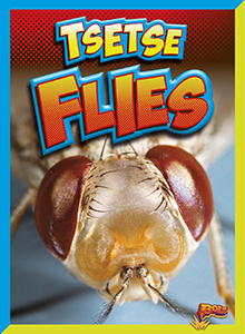 Cover Art for Tsetse Flies