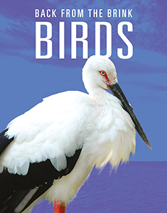Cover Art for Birds: Back from the Brink