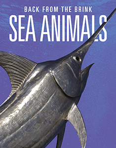 Cover Art for Sea Animals: Back from the Brink