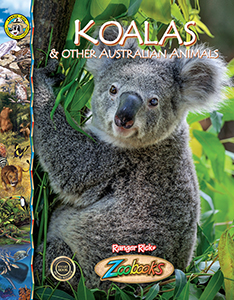 Cover Art for Koalas and Other Australian Animals