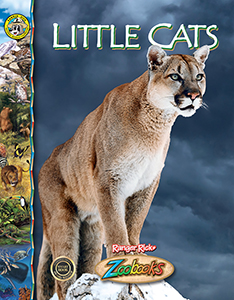 Cover Art for Little Cats