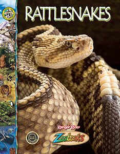 Cover Art for Rattlesnakes