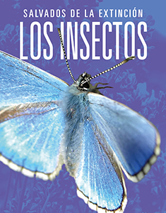 Cover Art for Los insectos