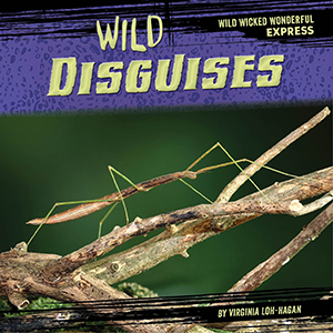 Cover Art for Wild Disguises