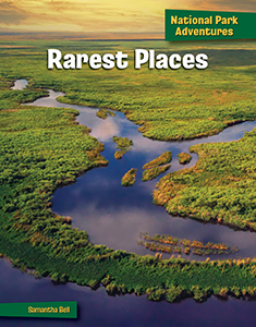 Cover Art for Rarest Places