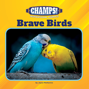 Cover Art for Brave Birds