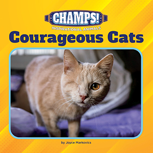Cover Art for Courageous Cats