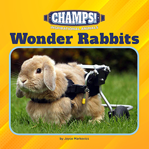 Cover Art for Wonder Rabbits