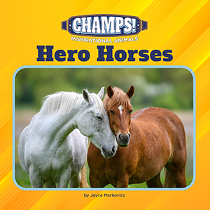 Cover Art for Hero Horses